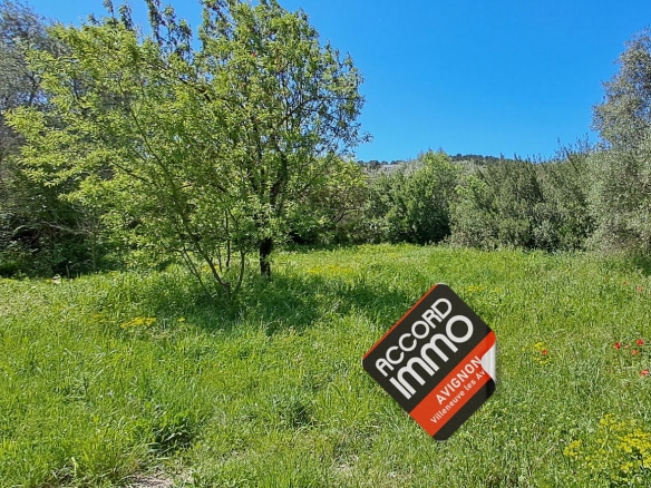 vue d'un terrain plat avec de la pelouse