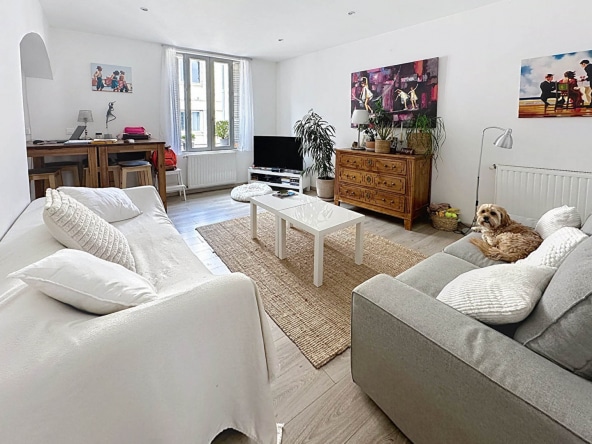 Salon lumineux et décoré avec goût dans un appartement à vendre à Avignon intramuros, proche université