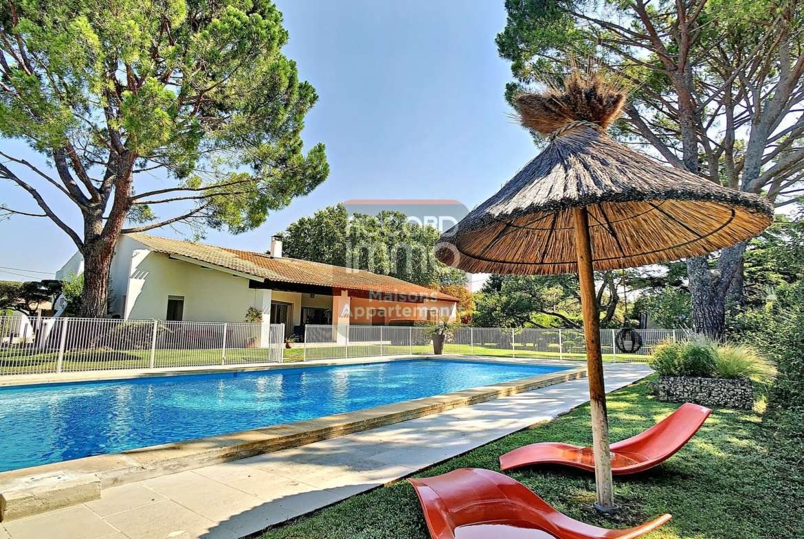 Pool house devant piscine dune maison en vente en ceinture verte d'Avignon