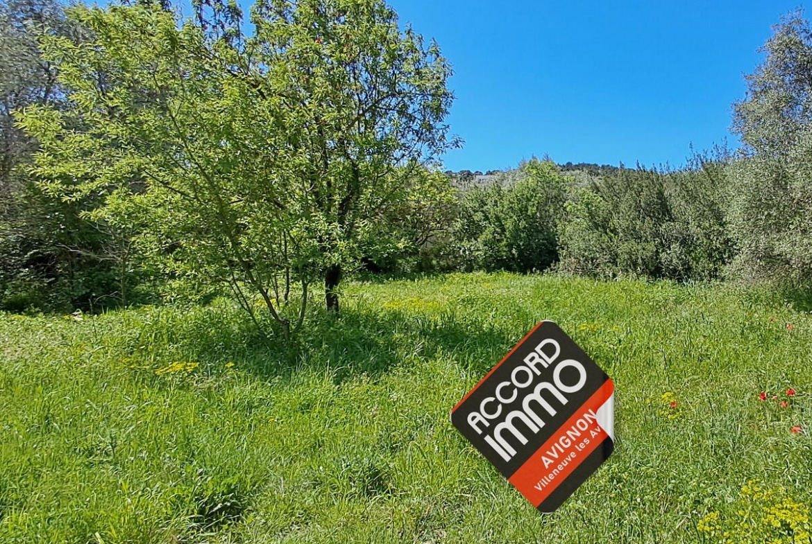 vue d'un terrain plat avec de la pelouse