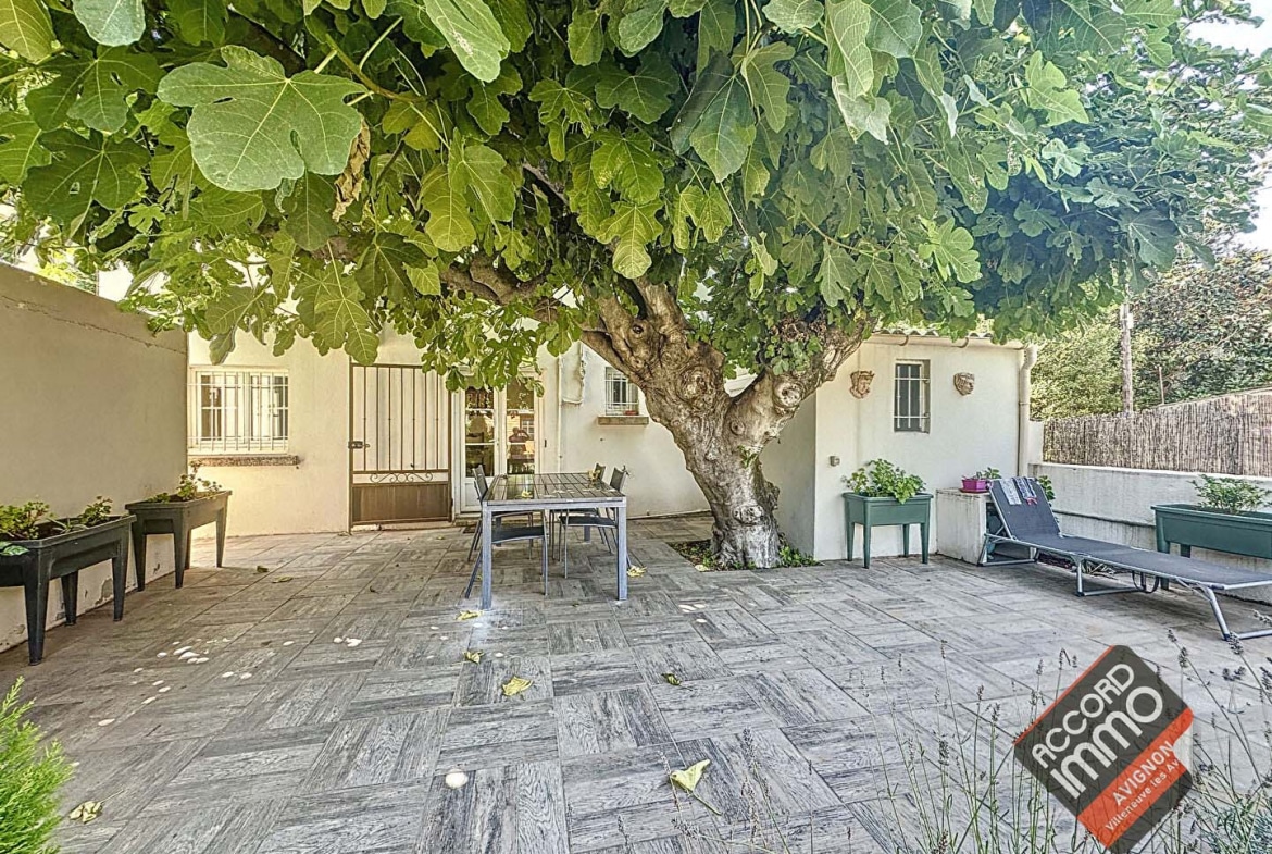 Spacieuse cour ombragée d’une maison à vendre à Avignon, quartier Saint-Ruf, secteur extramuros