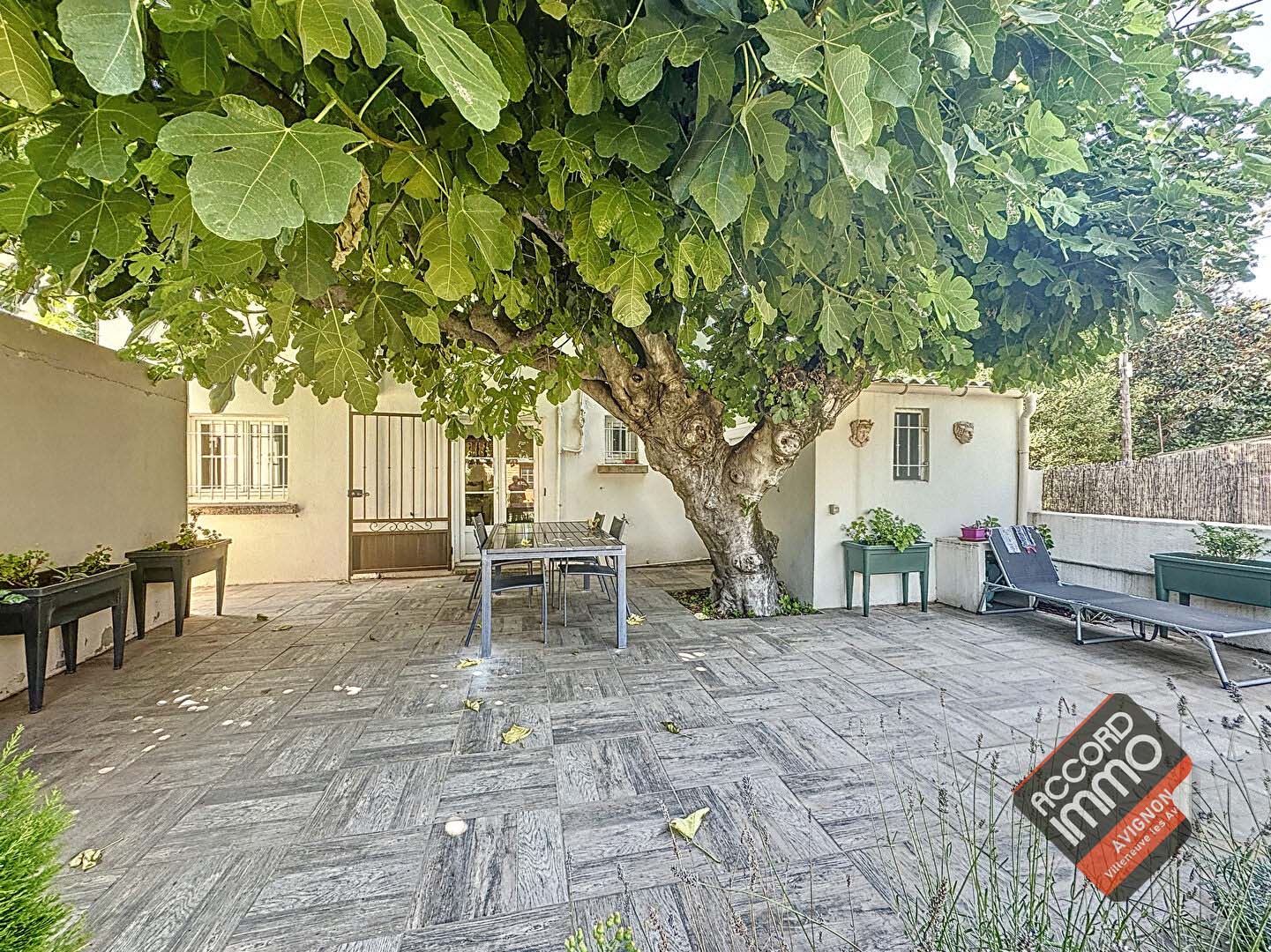 Spacieuse cour ombragée d’une maison à vendre à Avignon, quartier Saint-Ruf, secteur extramuros
