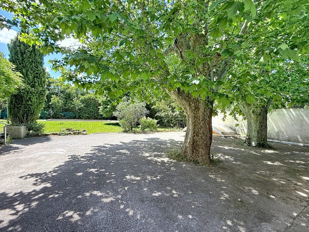 Cour gravillonnée ombragée par deux grands platanes aux troncs tachetés caractéristiques. En arrière-plan, une pelouse verte bordée de haies et de cyprès sous un ciel bleu partiellement nuageux.