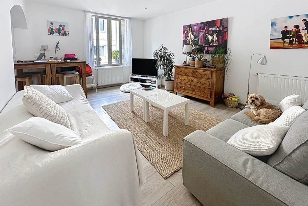 Salon lumineux et décoré avec goût dans un appartement à vendre à Avignon intramuros, proche université