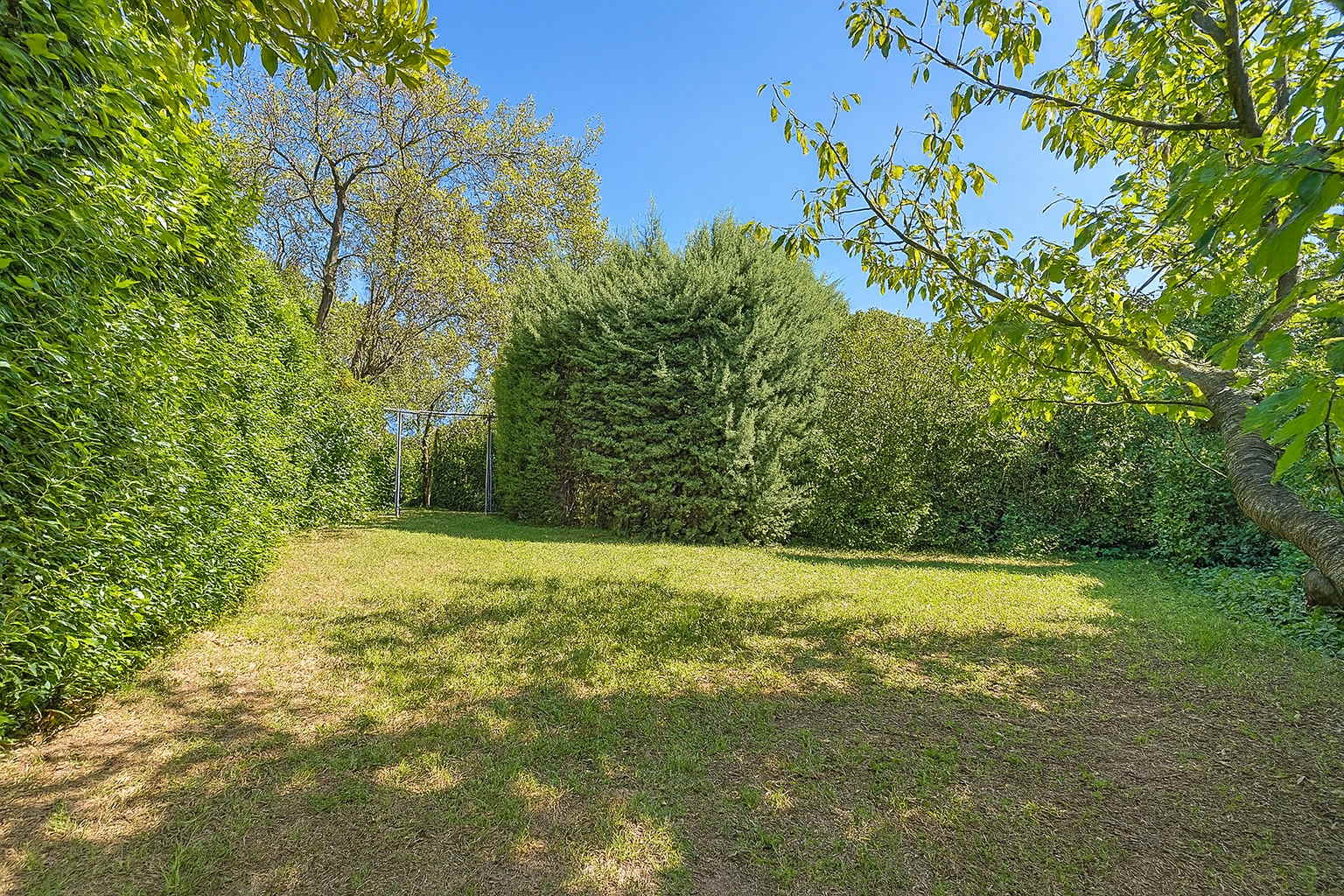 photo jardin arbore maison plain pied isle sur sorgue avec pelouse et haie verte proposee par agence immobiliere ACCORD IMMO AVIGNON