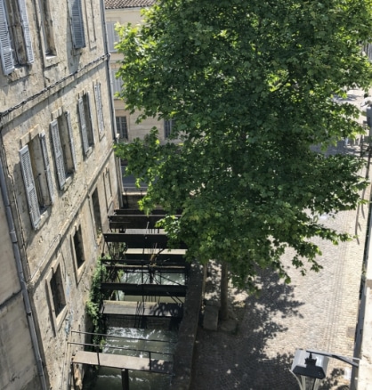 Vue plongeante sur le canal des Teinturiers bordé de pavés et d'un platane centenaire. Façades en pierre calcaire avec volets à l'avignonnaise visibles depuis les étages de cet immeuble de rapport intra-muros.