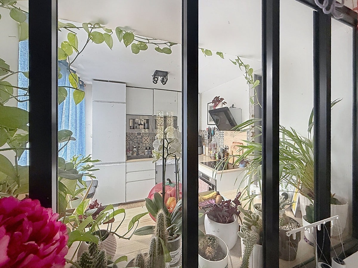 Vue à travers verrière noire style atelier sur cuisine blanche avec meubles hauts et crédence à motifs. Collection de plantes vertes dont cactus, orchidée blanche et plantes grimpantes disposées sur étagère devant la verrière.