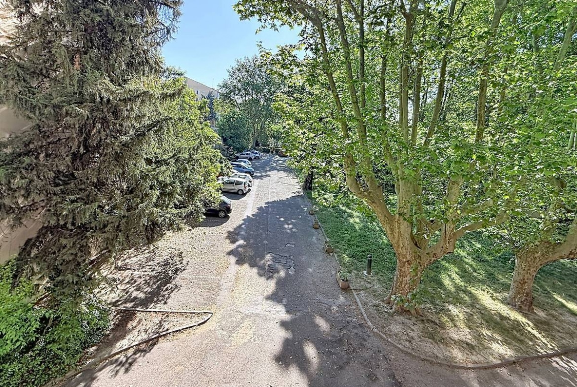 Vue depuis le balcon sur allée de stationnement bordée de grands platanes et conifères. Plusieurs véhicules garés, espaces verts avec pelouse, environnement résidentiel calme et verdoyant.