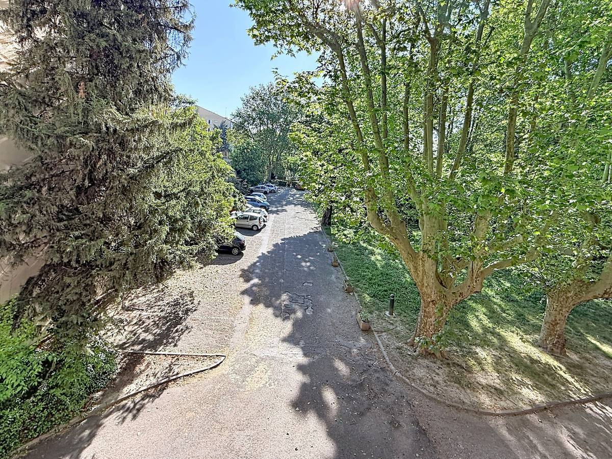 Vue depuis le balcon sur allée de stationnement bordée de grands platanes et conifères. Plusieurs véhicules garés, espaces verts avec pelouse, environnement résidentiel calme et verdoyant.