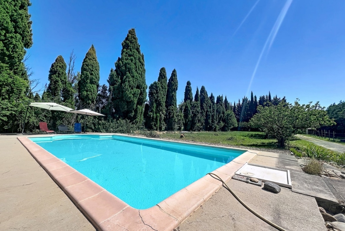 Piscine rectangulaire à margelles en terre cuite entourée d'une plage en béton et de pelouse. Rangée de cyprès en arrière-plan sous un ciel bleu, parasol et transats installés près du bassin aux eaux turquoise.