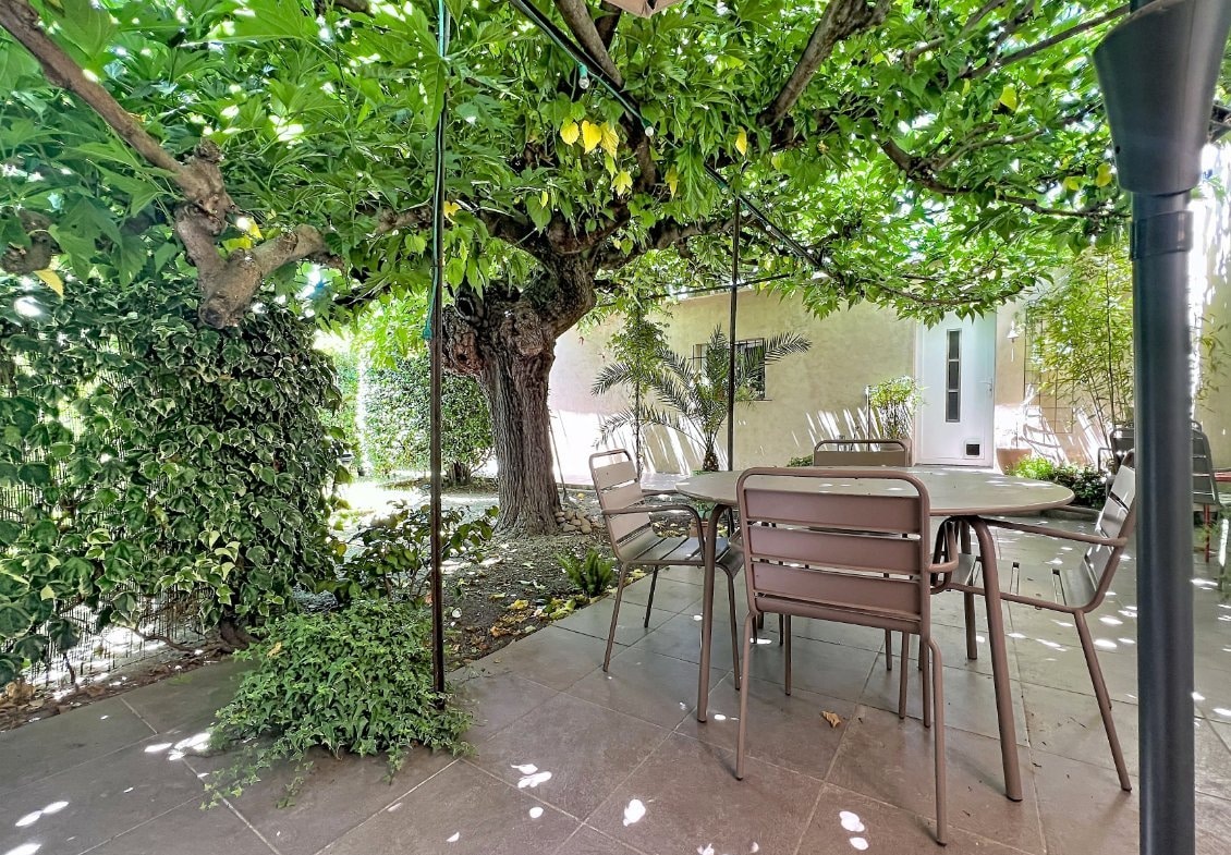 Jardin clos avec grand murier centenaire offrant une ombre naturelle sur la terrasse carrelée grise. Table ronde avec chaises en métal taupe, parasol, mur végétalisé de lierre et palmier en arrière-plan près du studio indépendant.