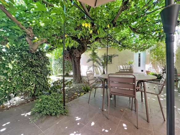 Jardin clos avec grand murier centenaire offrant une ombre naturelle sur la terrasse carrelée grise. Table ronde avec chaises en métal taupe, parasol, mur végétalisé de lierre et palmier en arrière-plan près du studio indépendant.