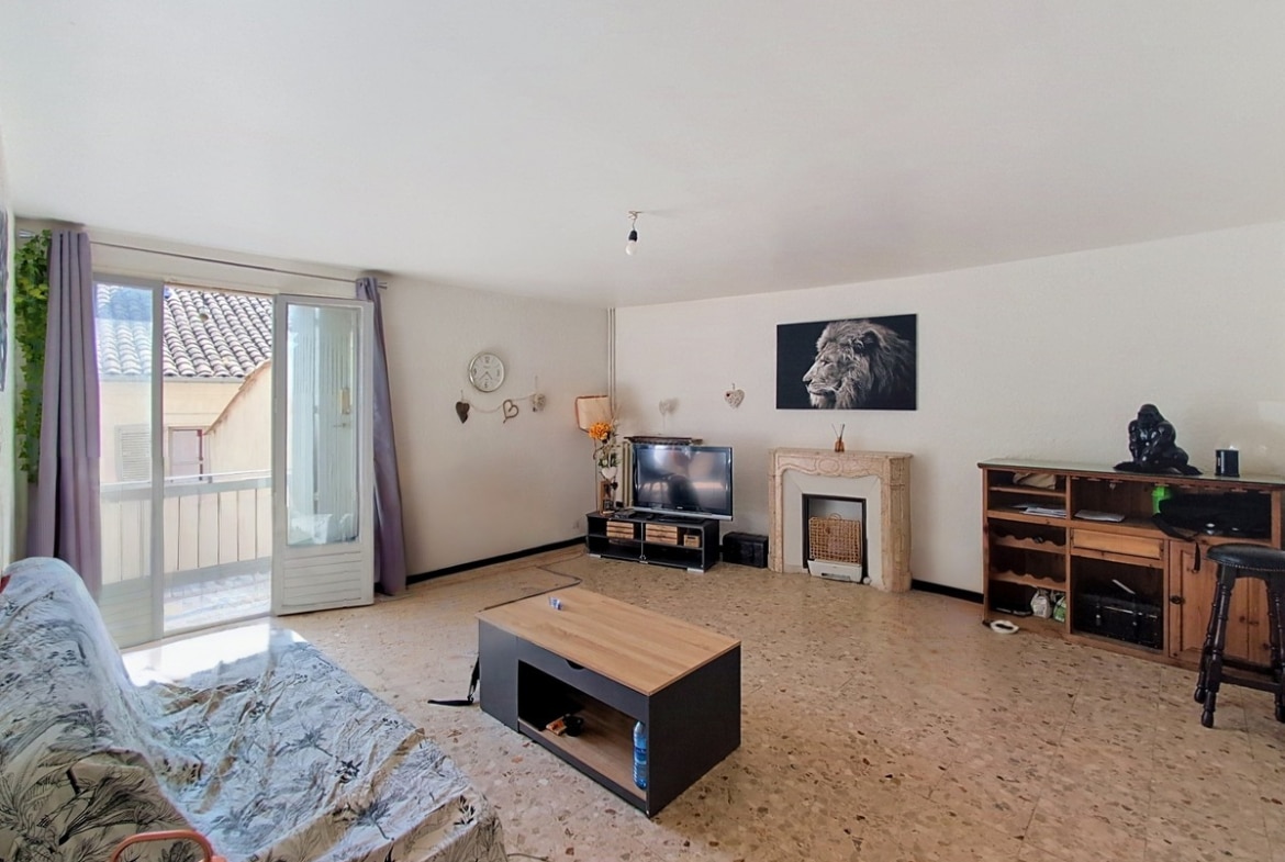 Séjour avec sol en tomettes beiges, cheminée décorative en pierre avec insert, porte-fenêtre donnant sur balcon avec rideaux mauves. Mobilier composé d'un canapé gris à motifs floraux, table basse bicolore bois et noir, meuble TV en bois et tableau représentant un lion.