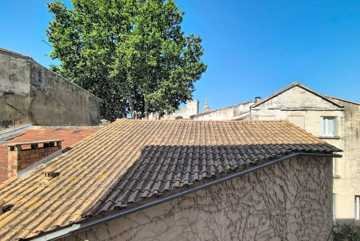 Vue depuis la fenêtre sur les toits en tuiles canal traditionnelles et un grand arbre feuillu. En arrière-plan, silhouette du Palais des Papes et clocher visible sous ciel bleu.