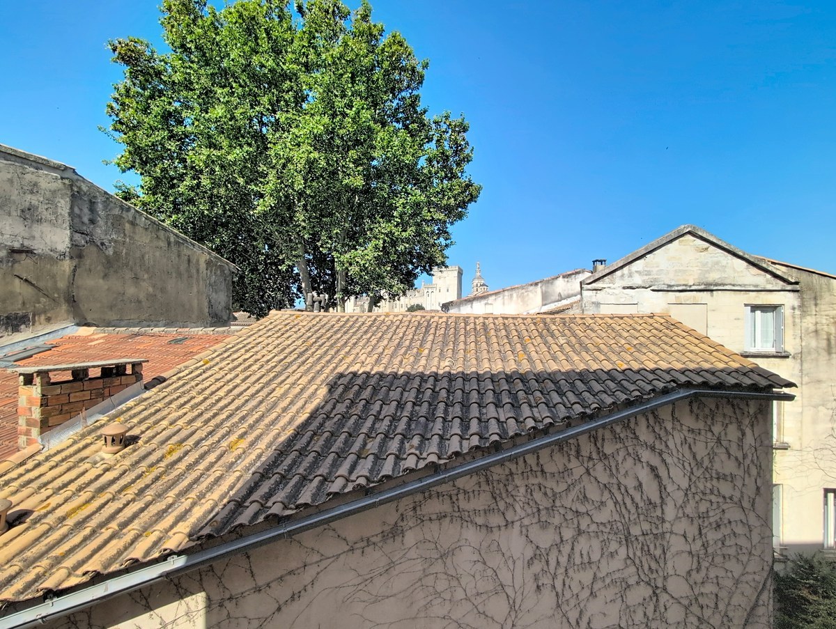 Vue depuis la fenêtre sur les toits en tuiles canal traditionnelles et un grand arbre feuillu. En arrière-plan, silhouette du Palais des Papes et clocher visible sous ciel bleu.