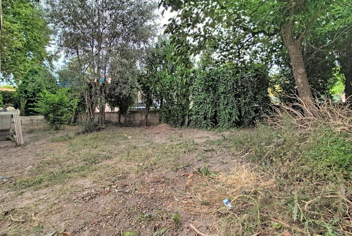 Terrain de jardin en terre battue partiellement enherbé, entouré d'un mur de clôture recouvert de lierre dense et de plusieurs arbres à feuilles caduques dont un olivier. Des branches et végétaux coupés sont entassés sur la droite du terrain