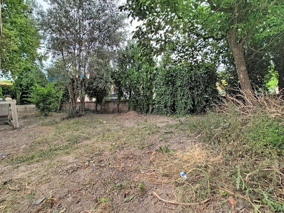 Terrain de jardin en terre battue partiellement enherbé, entouré d'un mur de clôture recouvert de lierre dense et de plusieurs arbres à feuilles caduques dont un olivier. Des branches et végétaux coupés sont entassés sur la droite du terrain