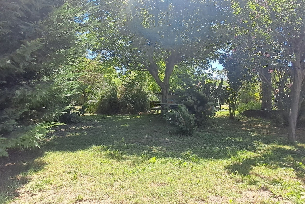 Jardin avec pelouse verte parsemée de feuilles sèches, ombragé par plusieurs grands arbres feuillus dont un arbre à feuillage rouge bordeaux sur la droite. Un banc en bois est visible au centre sous la canopée, entouré d'arbustes variés et de conifères, dans un cadre naturel et végétalisé.