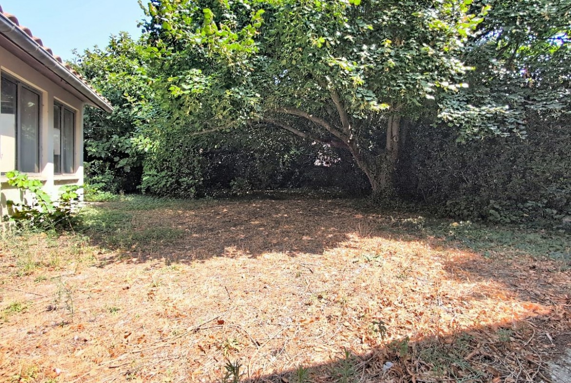 Terrain de jardin en terre sèche et feuilles mortes, bordé par un grand arbre à feuilles caduques et une haie dense en fond de parcelle, partiellement ombragé. Sur la gauche, la façade de la maison en enduit blanc avec ses menuiseries aluminium et sa gouttière grise est visible en bordure de cadre.