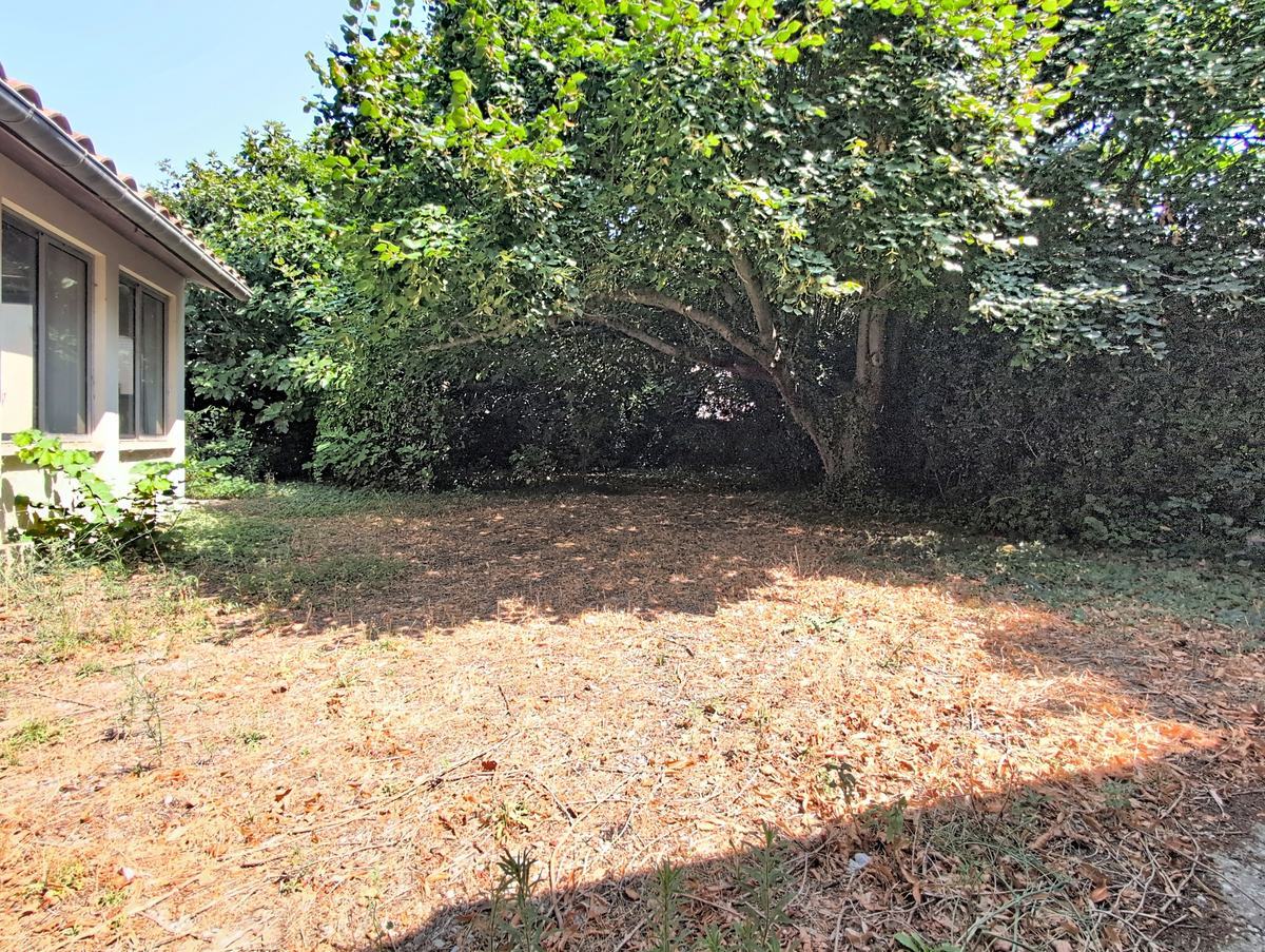 Terrain de jardin en terre sèche et feuilles mortes, bordé par un grand arbre à feuilles caduques et une haie dense en fond de parcelle, partiellement ombragé. Sur la gauche, la façade de la maison en enduit blanc avec ses menuiseries aluminium et sa gouttière grise est visible en bordure de cadre.
