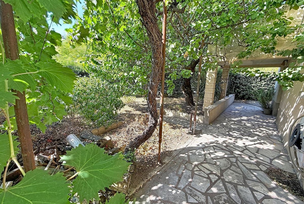 Jardin ombragé avec pergola couverte de vigne vierge aux grandes feuilles, allée latérale en pierres irrégulières longeant la façade enduite de couleur sable. Plusieurs arbres dont un tronc noueux central, haie persistante en fond de parcelle, sol en terre battue sèche sous les frondaisons.