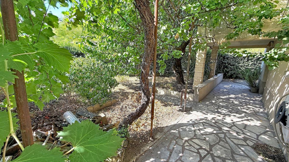 Jardin ombragé avec pergola couverte de vigne vierge aux grandes feuilles, allée latérale en pierres irrégulières longeant la façade enduite de couleur sable. Plusieurs arbres dont un tronc noueux central, haie persistante en fond de parcelle, sol en terre battue sèche sous les frondaisons.
