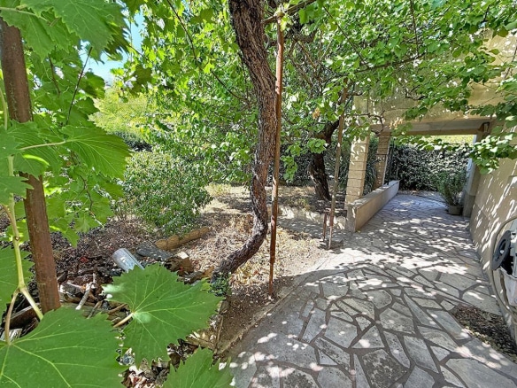 Jardin ombragé avec pergola couverte de vigne vierge aux grandes feuilles, allée latérale en pierres irrégulières longeant la façade enduite de couleur sable. Plusieurs arbres dont un tronc noueux central, haie persistante en fond de parcelle, sol en terre battue sèche sous les frondaisons.