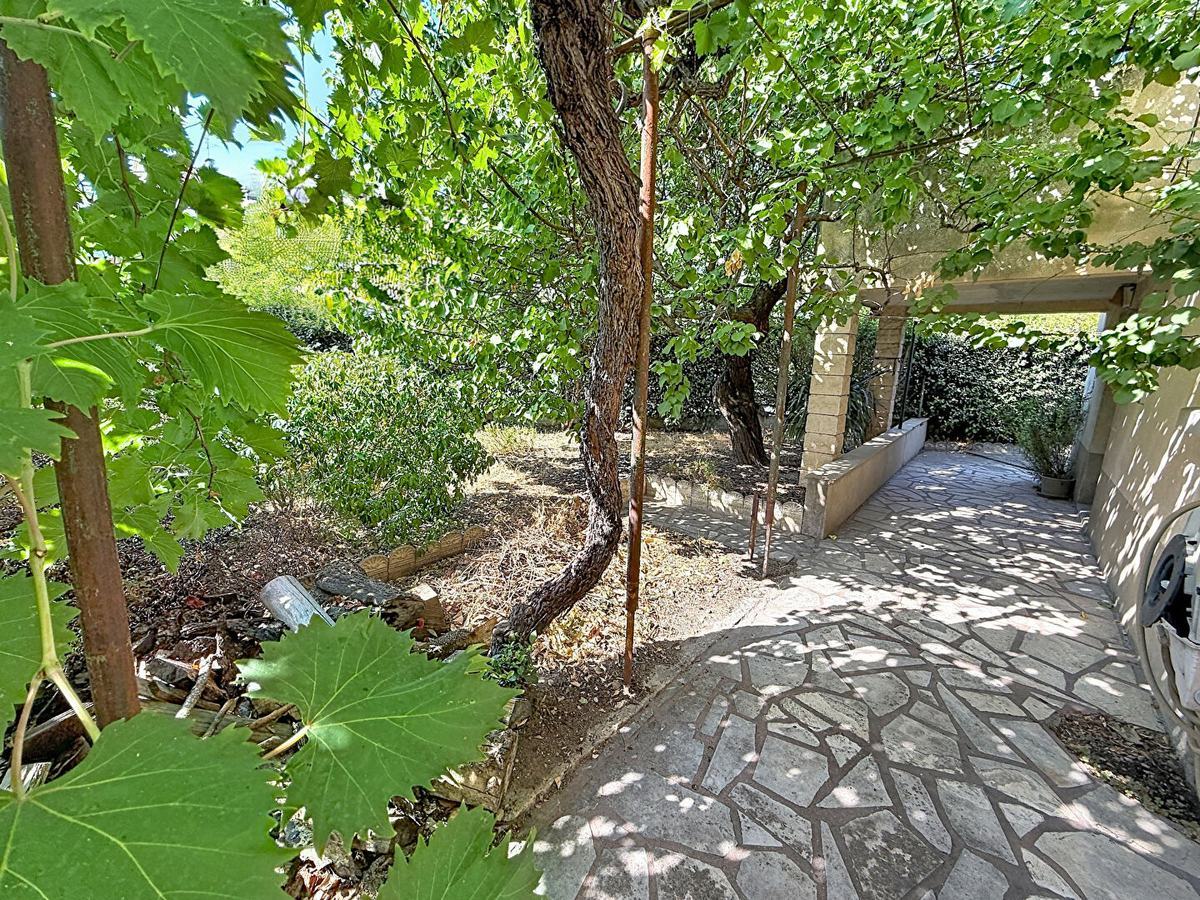 Jardin ombragé avec pergola couverte de vigne vierge aux grandes feuilles, allée latérale en pierres irrégulières longeant la façade enduite de couleur sable. Plusieurs arbres dont un tronc noueux central, haie persistante en fond de parcelle, sol en terre battue sèche sous les frondaisons.