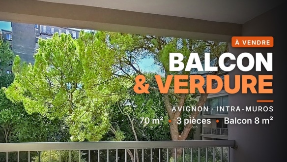 Vue depuis le balcon d'un appartement en vente à Avignon intra-muros, avec garde-corps métallique gris et canopée dense de pins méditerranéens en arrière-plan.