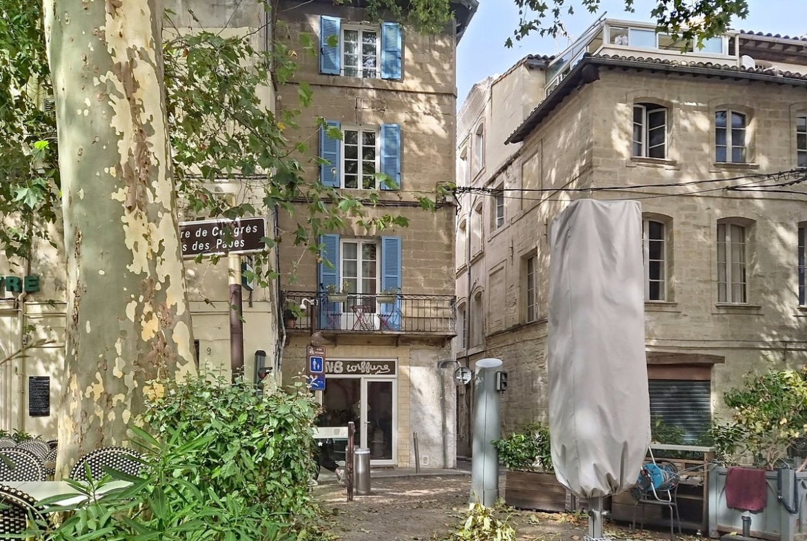 Immeuble de cinq niveaux en pierre de taille beige avec volets bleus, balcon en fer forgé au deuxième étage orné de plantes, local commercial au rez-de-chaussée avec devanture vitrée. Façade donnant sur une placette arborée avec un platane en premier plan, panneau de signalisation marron indiquant le Palais des Papes visible à gauche.