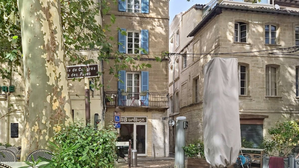 Immeuble de cinq niveaux en pierre de taille beige avec volets bleus, balcon en fer forgé au deuxième étage orné de plantes, local commercial au rez-de-chaussée avec devanture vitrée. Façade donnant sur une placette arborée avec un platane en premier plan, panneau de signalisation marron indiquant le Palais des Papes visible à gauche.