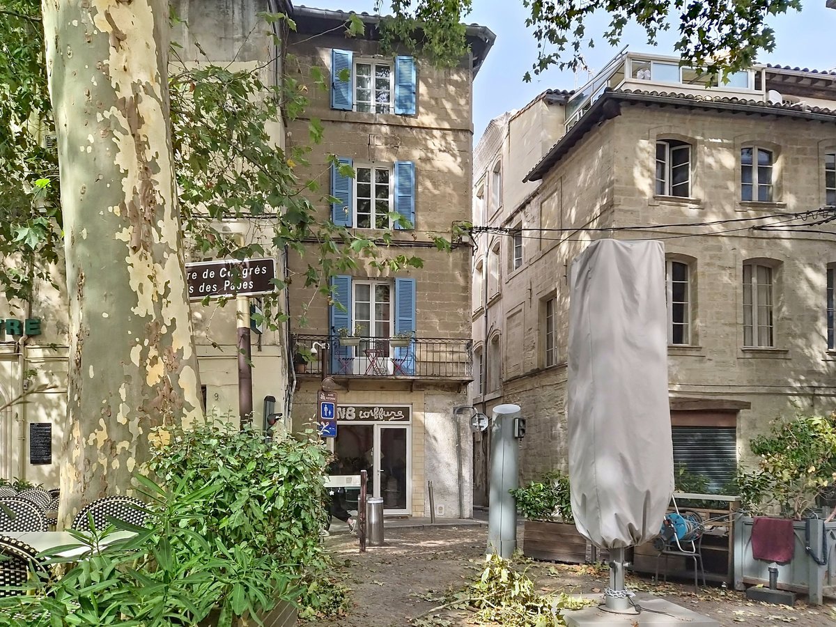 Immeuble de cinq niveaux en pierre de taille beige avec volets bleus, balcon en fer forgé au deuxième étage orné de plantes, local commercial au rez-de-chaussée avec devanture vitrée. Façade donnant sur une placette arborée avec un platane en premier plan, panneau de signalisation marron indiquant le Palais des Papes visible à gauche.