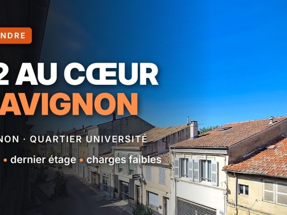 presentation premium de l'annonce avec vue en plongée sur une rue commerçante du centre d'Avignon avec des immeubles anciens aux façades ocre et beige, toits en tuiles romaines rouges et volets blancs. Une antenne de télévision domine les toits sous un ciel bleu intense, typique de l'architecture provençale du quartier université.